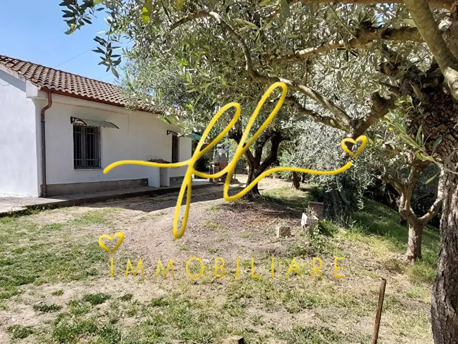 Immagine 41 di Terreno agricolo in vendita  a Livorno