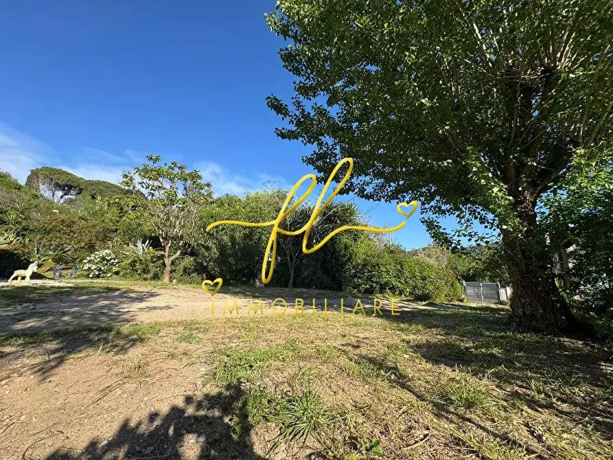 Immagine 4 di Terreno agricolo in vendita  a Livorno