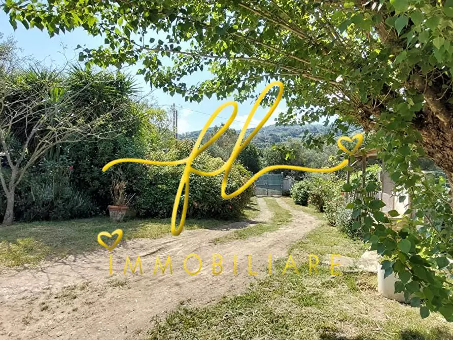 Immagine 2 di Terreno agricolo in vendita  a Livorno