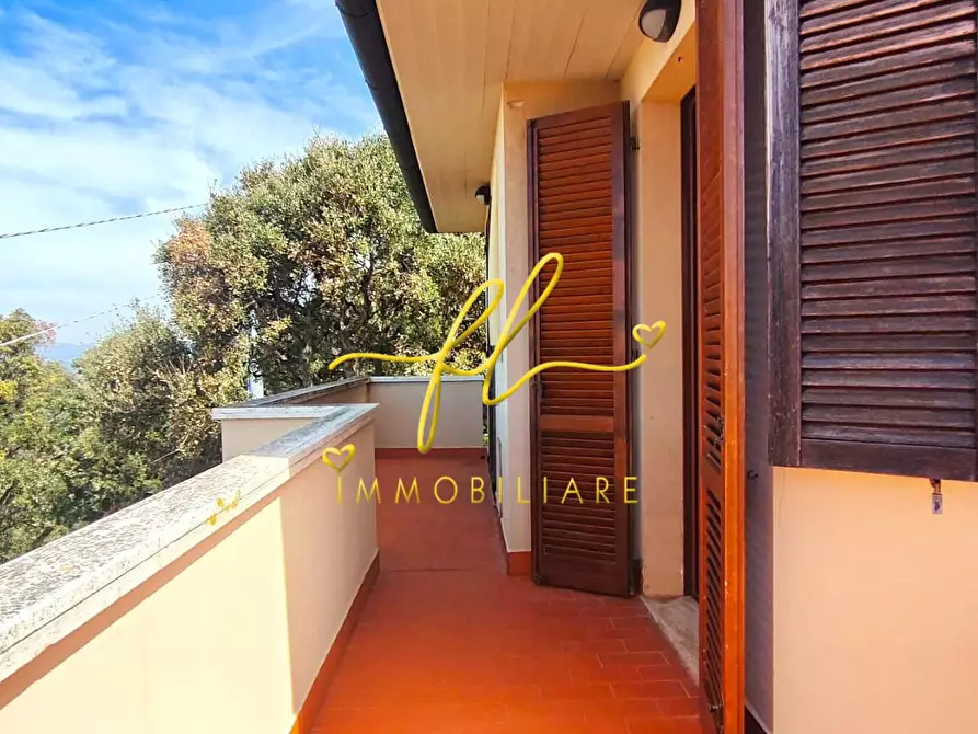 Immagine 16 di Appartamento in vendita  a Castagneto Carducci