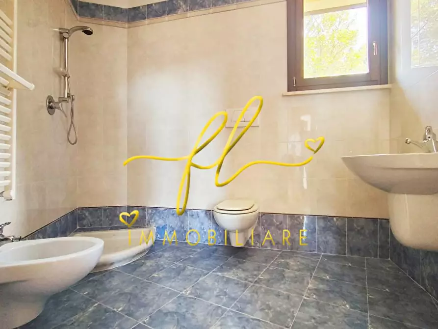 Immagine 13 di Appartamento in vendita  a Castagneto Carducci