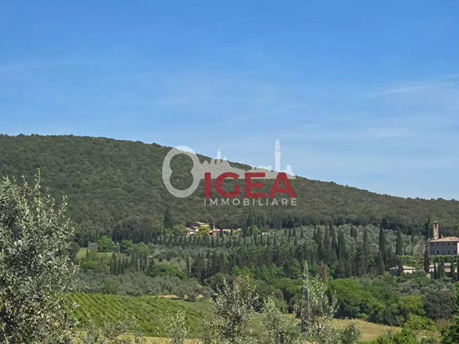 Immagine 11 di Appartamento in vendita  a Sovicille
