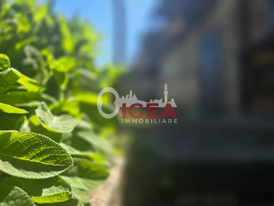Immagine 3 di Appartamento in vendita  a Sovicille