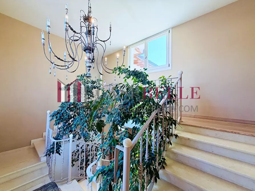 Immagine 43 di Villa in affitto  a Forte Dei Marmi