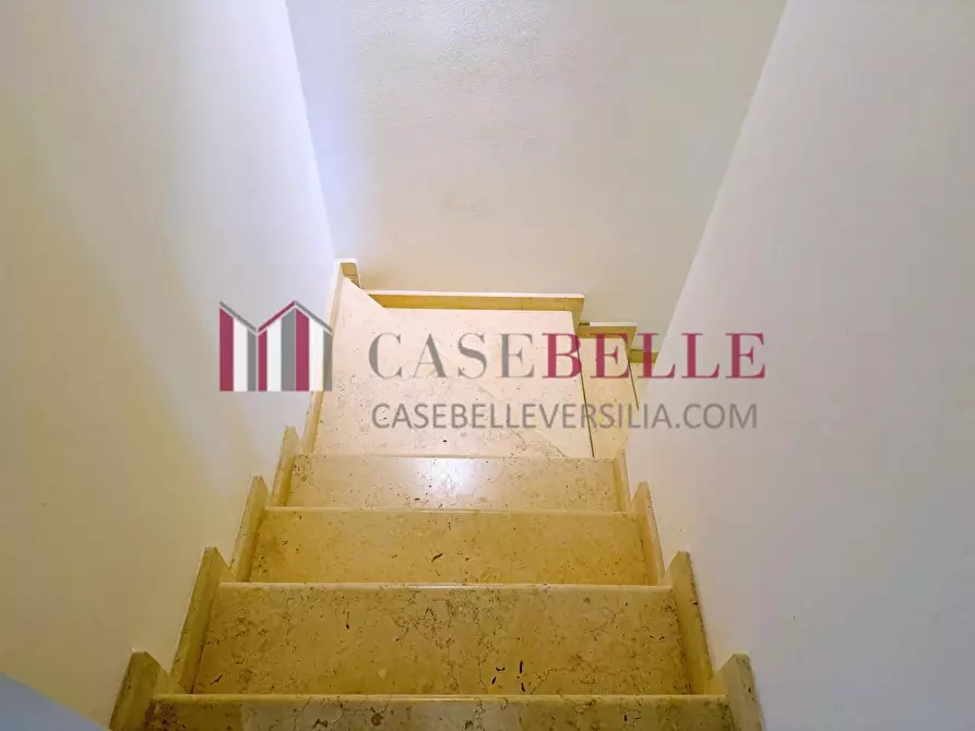 Immagine 29 di Villa in affitto  a Forte Dei Marmi