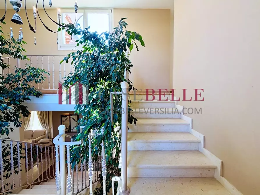 Immagine 44 di Villa in affitto  a Forte Dei Marmi