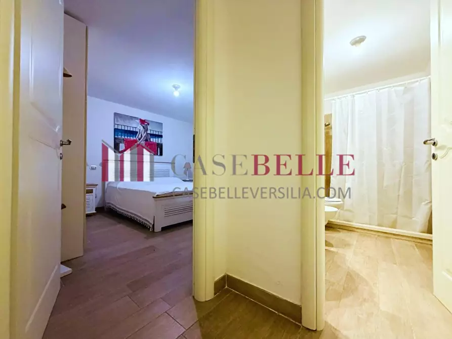 Immagine 32 di Villa in affitto  a Forte Dei Marmi