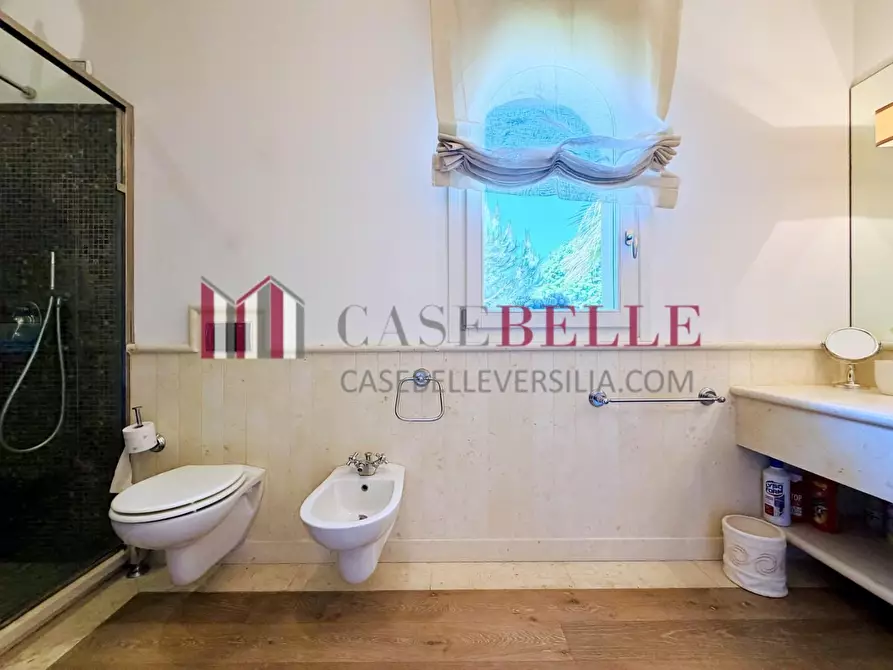 Immagine 50 di Villa in affitto  a Forte Dei Marmi