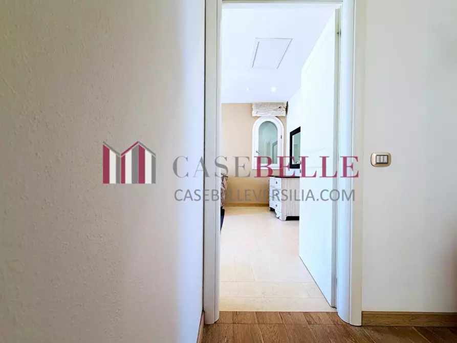 Immagine 45 di Villa in affitto  a Forte Dei Marmi