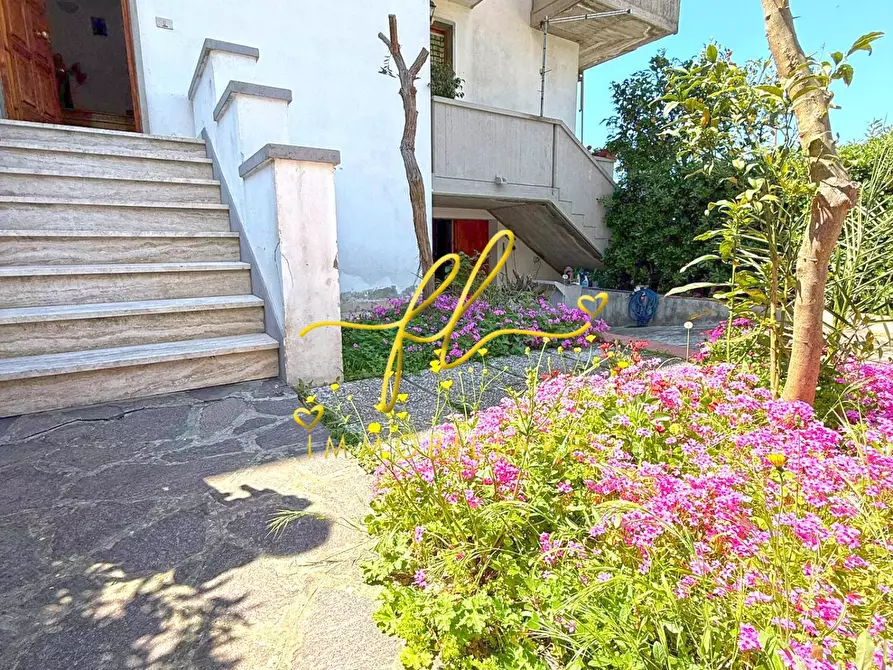 Immagine 6 di Appartamento in vendita  a Cecina