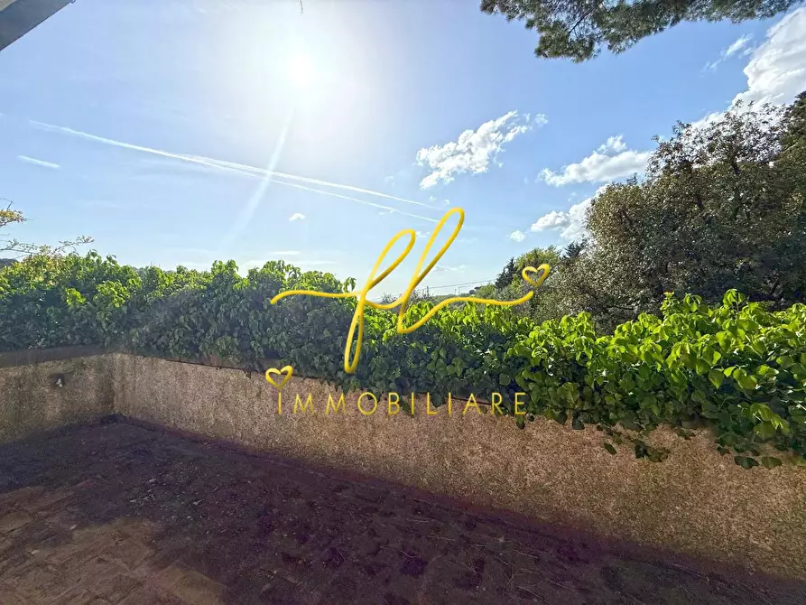 Immagine 7 di Villa in vendita  a Montescudaio
