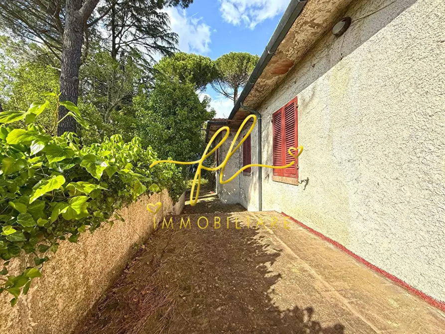 Immagine 3 di Villa in vendita  a Montescudaio