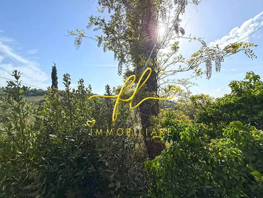 Immagine 6 di Villa in vendita  a Montescudaio
