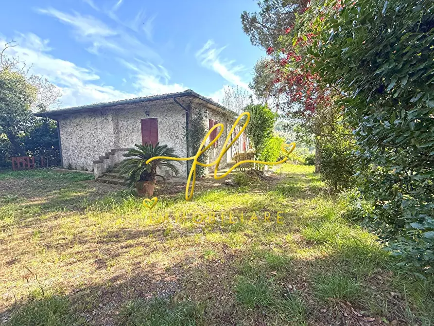 Immagine 1 di Villa in vendita  a Montescudaio