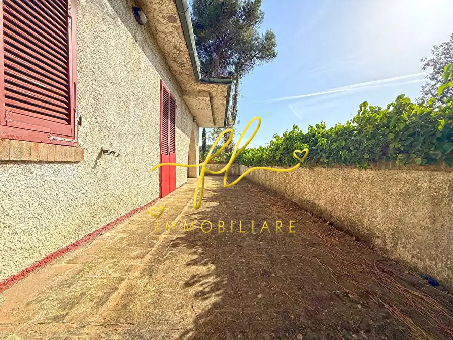 Immagine 5 di Villa in vendita  a Montescudaio