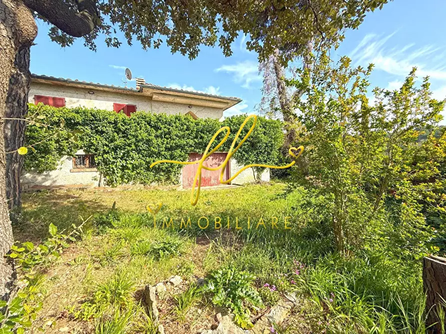 Immagine 8 di Villa in vendita  a Montescudaio
