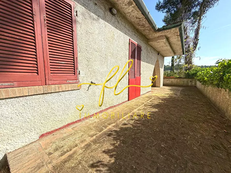 Immagine 9 di Villa in vendita  a Montescudaio