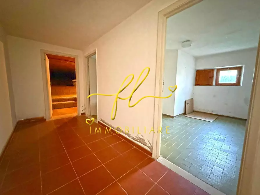 Immagine 31 di Villa in vendita  a Montescudaio