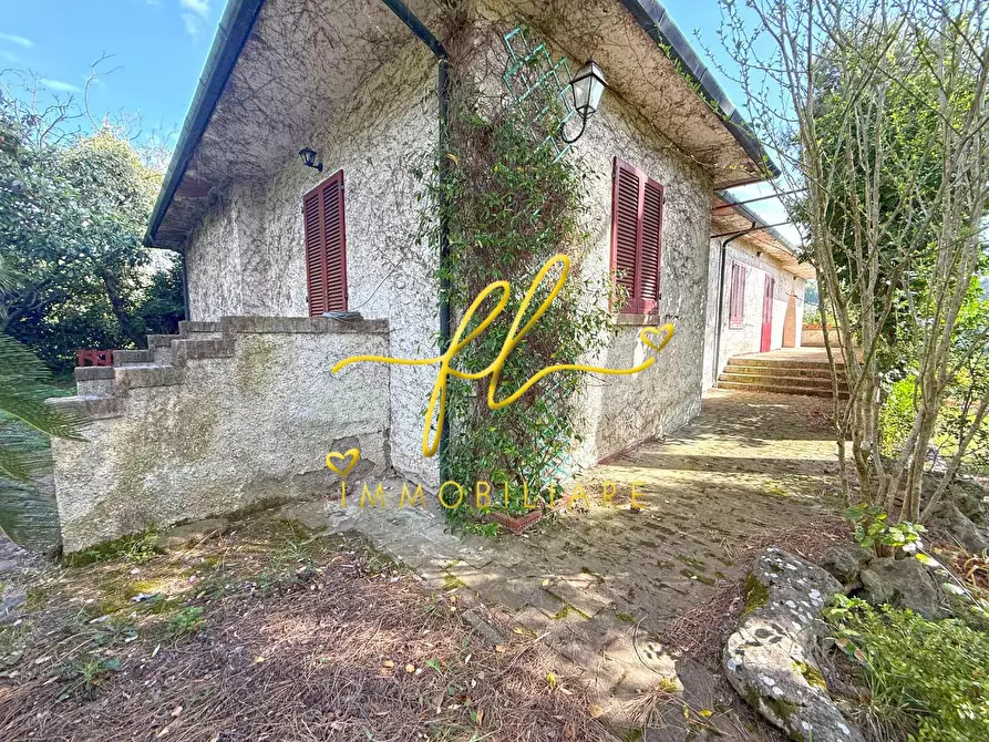 Immagine 2 di Villa in vendita  a Montescudaio