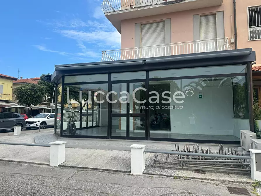 Immagine 6 di Appartamento in vendita  a Camaiore