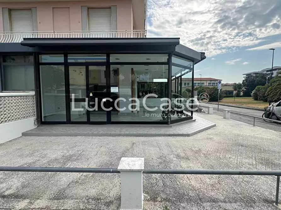 Immagine 9 di Appartamento in vendita  a Camaiore