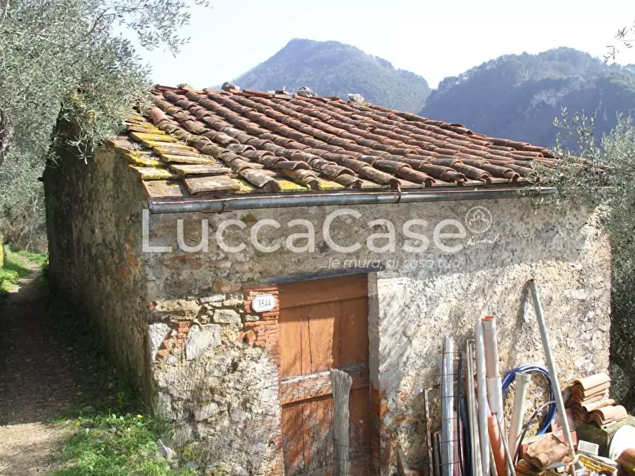 Immagine 5 di Rustico / casale in vendita  a Camaiore