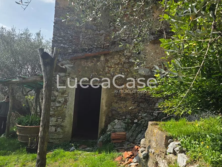 Immagine 11 di Rustico / casale in vendita  a Camaiore