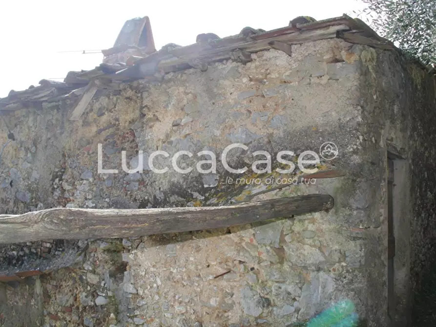 Immagine 3 di Rustico / casale in vendita  a Camaiore