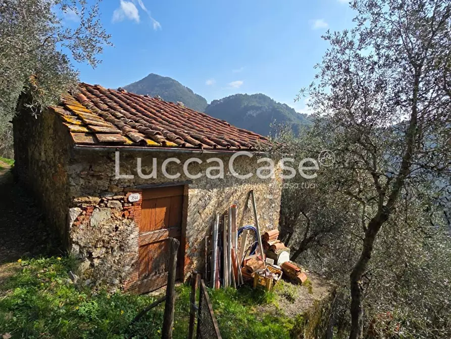 Immagine 13 di Rustico / casale in vendita  a Camaiore