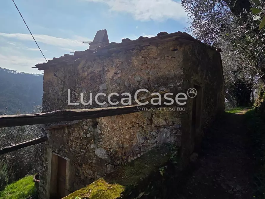 Immagine 12 di Rustico / casale in vendita  a Camaiore
