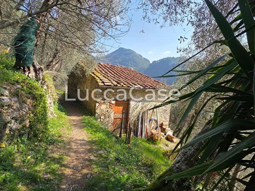 Immagine 1 di Rustico / casale in vendita  a Camaiore