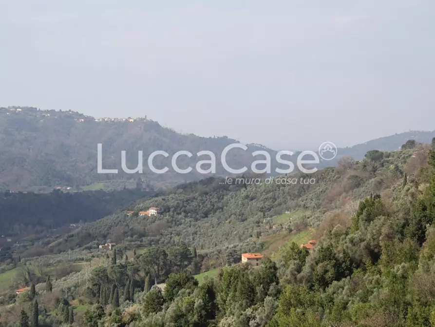 Immagine 2 di Rustico / casale in vendita  a Camaiore