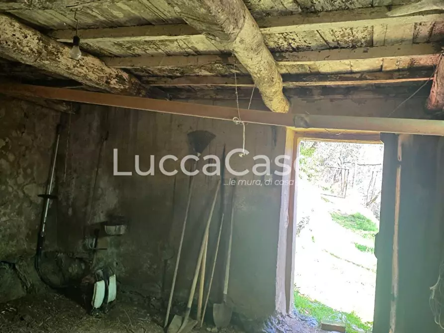 Immagine 9 di Rustico / casale in vendita  a Camaiore