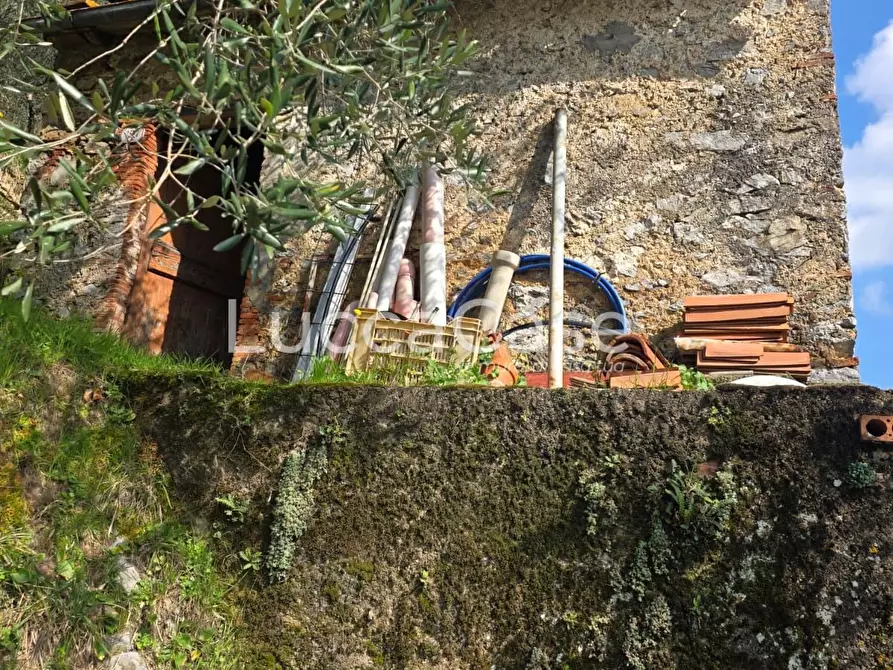 Immagine 10 di Rustico / casale in vendita  a Camaiore