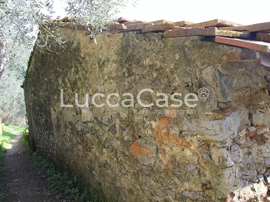 Immagine 7 di Rustico / casale in vendita  a Camaiore