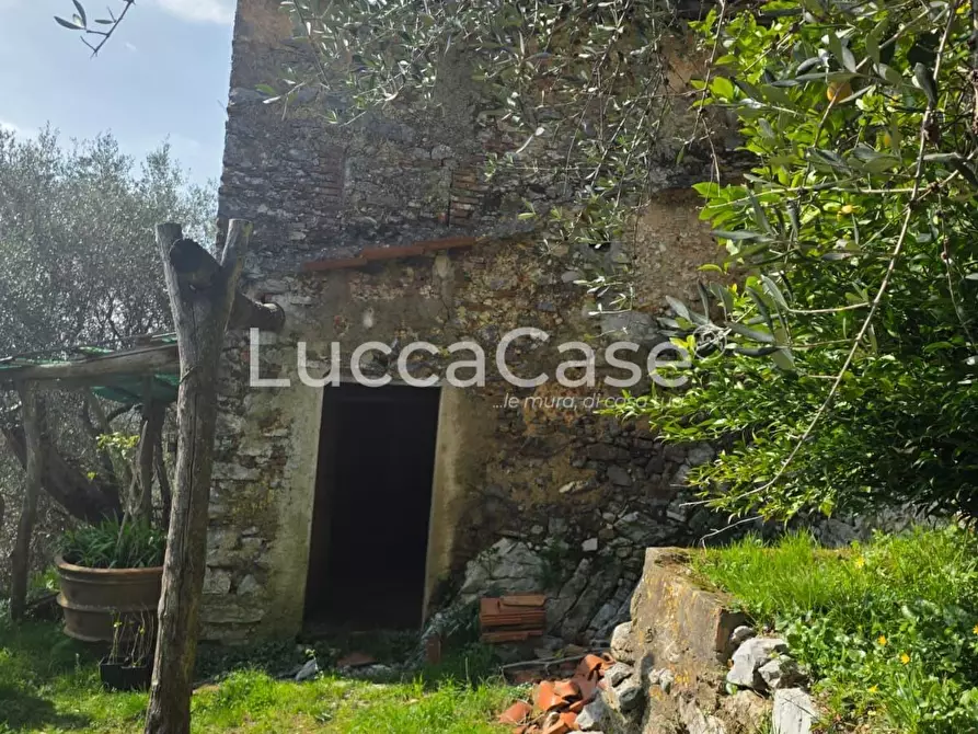 Immagine 8 di Rustico / casale in vendita  a Camaiore