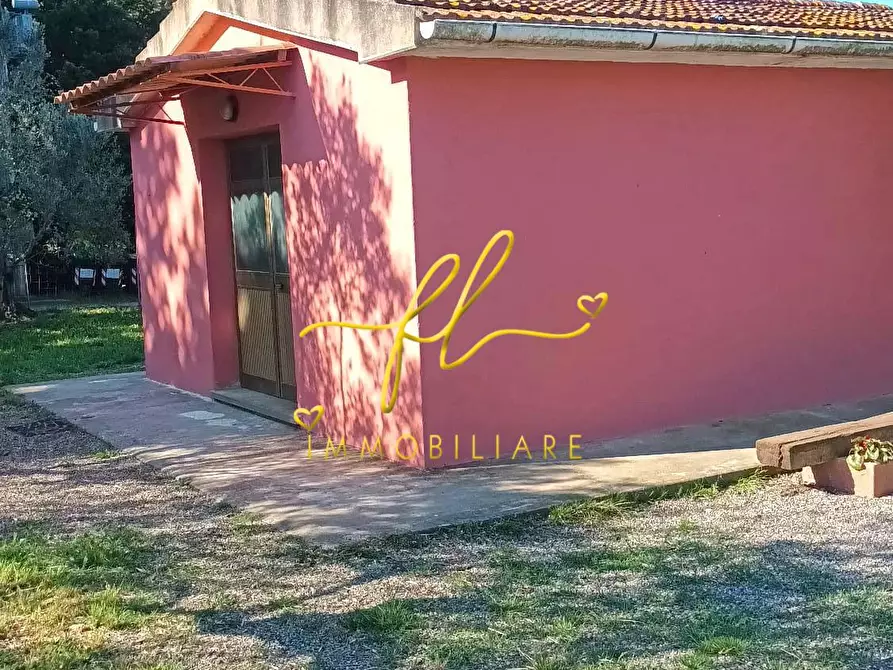 Immagine 3 di Terreno agricolo in vendita  a Cecina