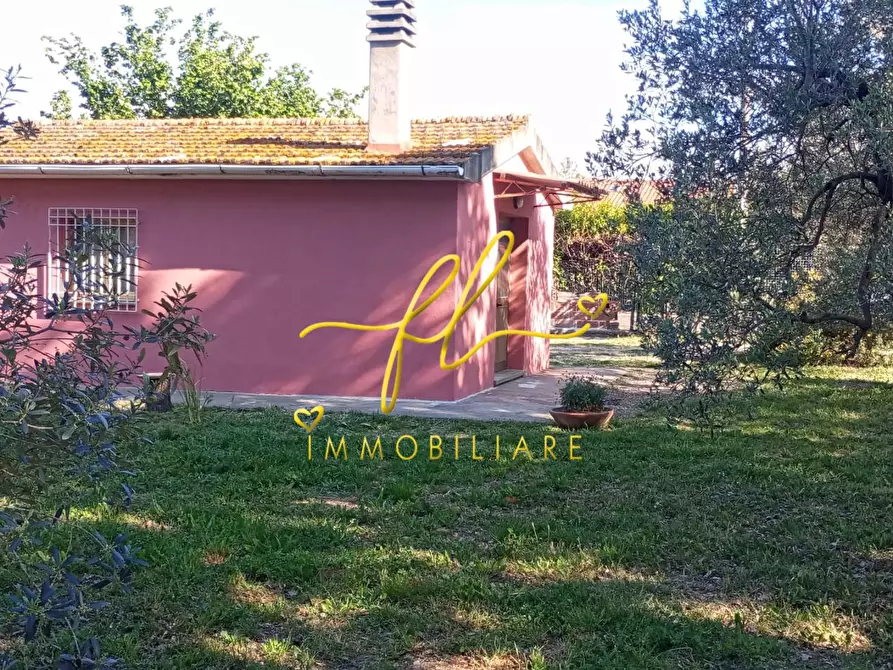 Immagine 4 di Terreno agricolo in vendita  a Cecina