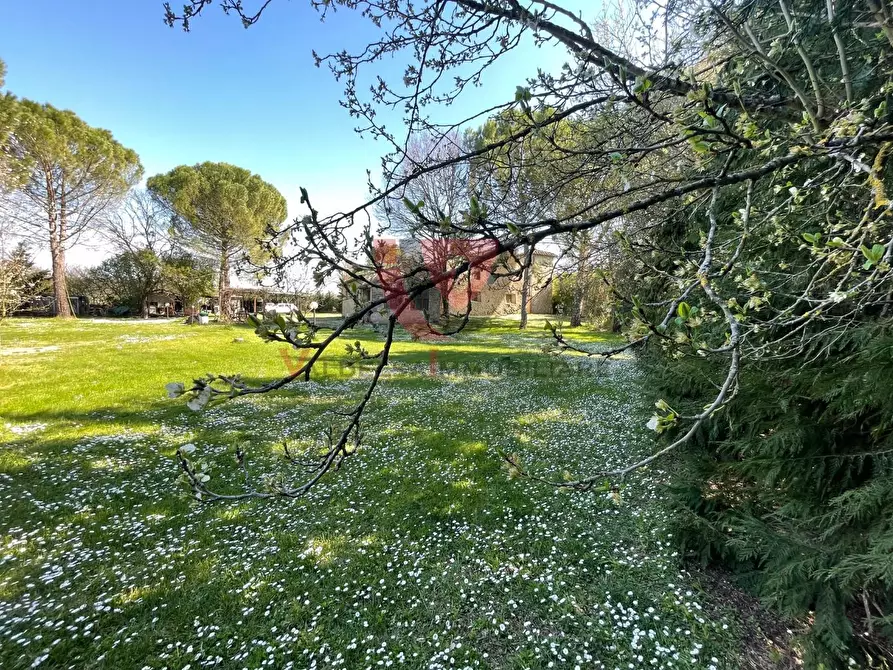 Immagine 4 di Casa indipendente in vendita  a Colle Di Val D'elsa