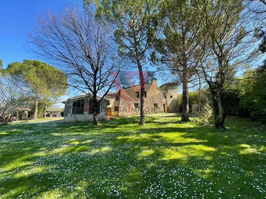 Immagine 39 di Casa indipendente in vendita  a Colle Di Val D'elsa