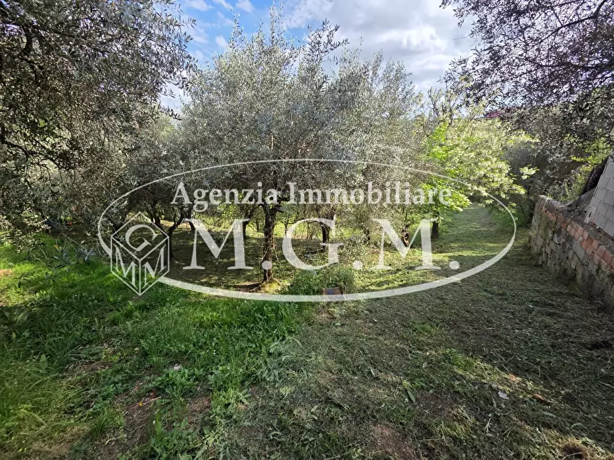 Immagine 24 di Appartamento in vendita  a Santa Maria A Monte