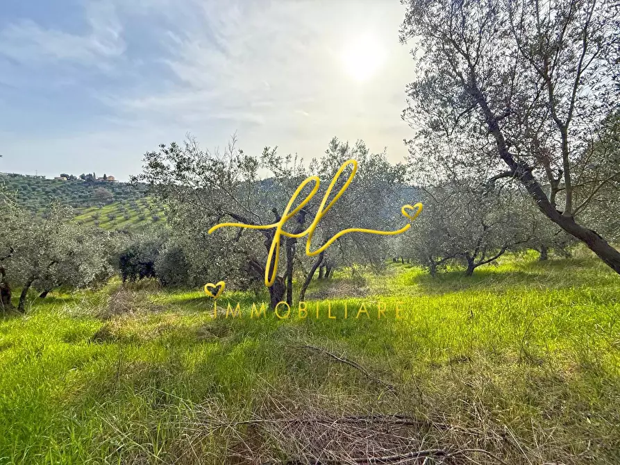 Immagine 5 di Terreno residenziale in vendita  a Riparbella
