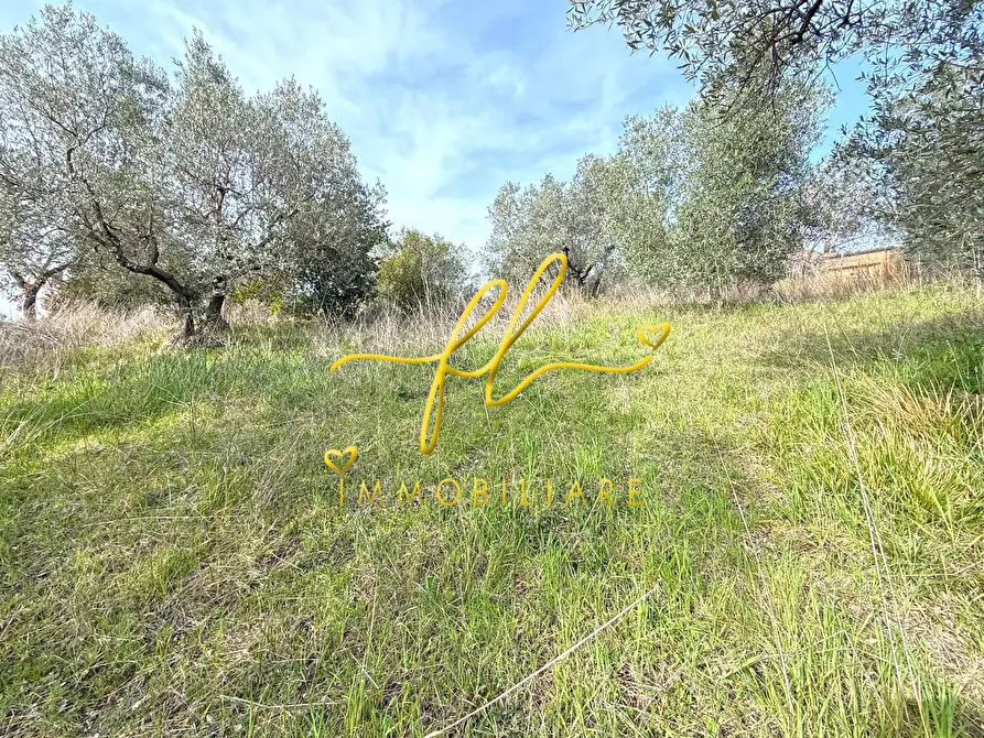 Immagine 1 di Terreno residenziale in vendita  a Riparbella