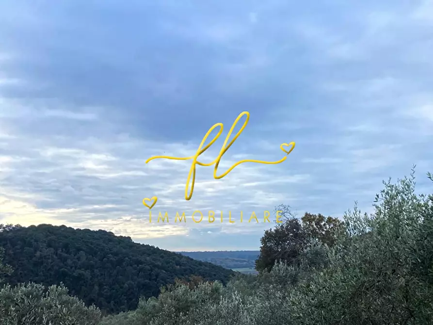 Immagine 2 di Terreno residenziale in vendita  a Riparbella
