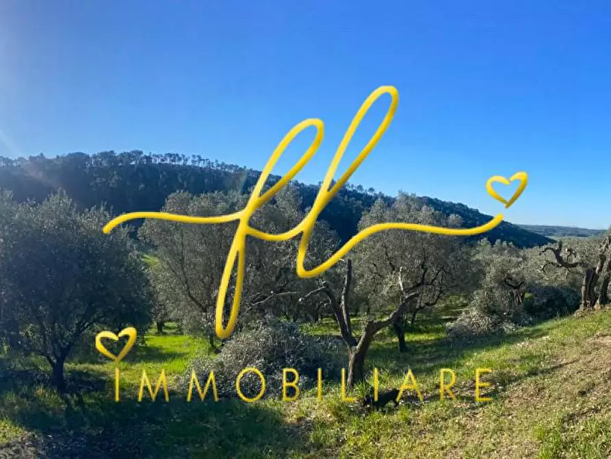 Immagine 11 di Terreno residenziale in vendita  a Riparbella