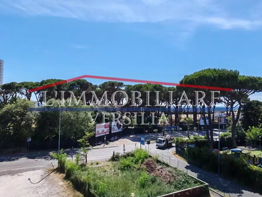 Immagine 1 di Appartamento in vendita  a Massa