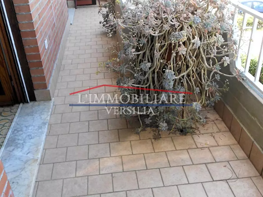 Immagine 16 di Appartamento in vendita  a Massa
