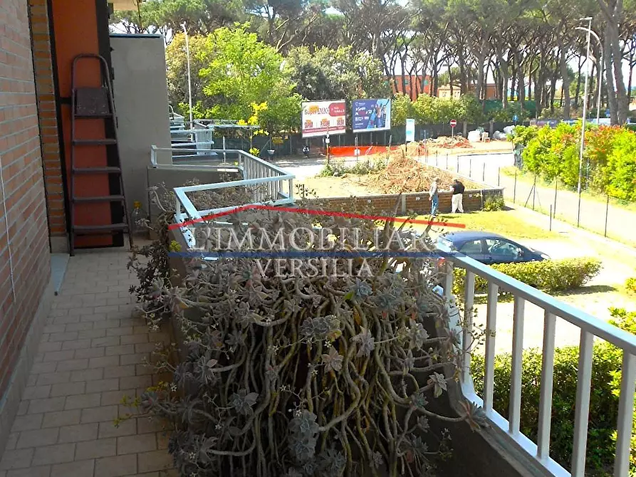 Immagine 15 di Appartamento in vendita  a Massa