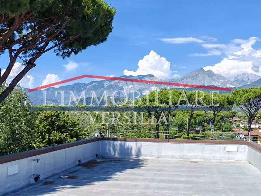 Immagine 2 di Appartamento in vendita  a Massa