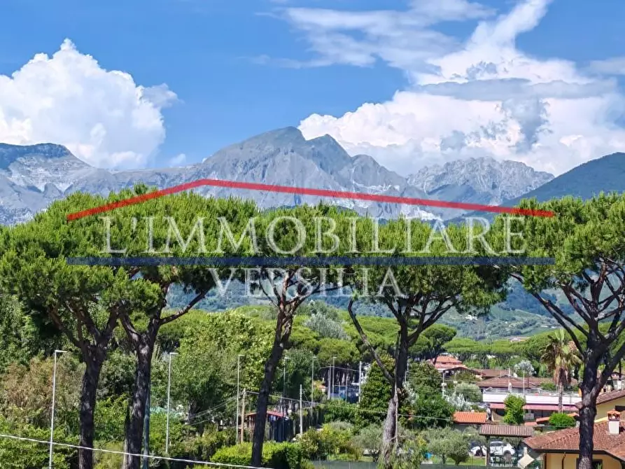 Immagine 4 di Appartamento in vendita  a Massa